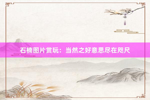 石楠图片赏玩：当然之好意思尽在咫尺